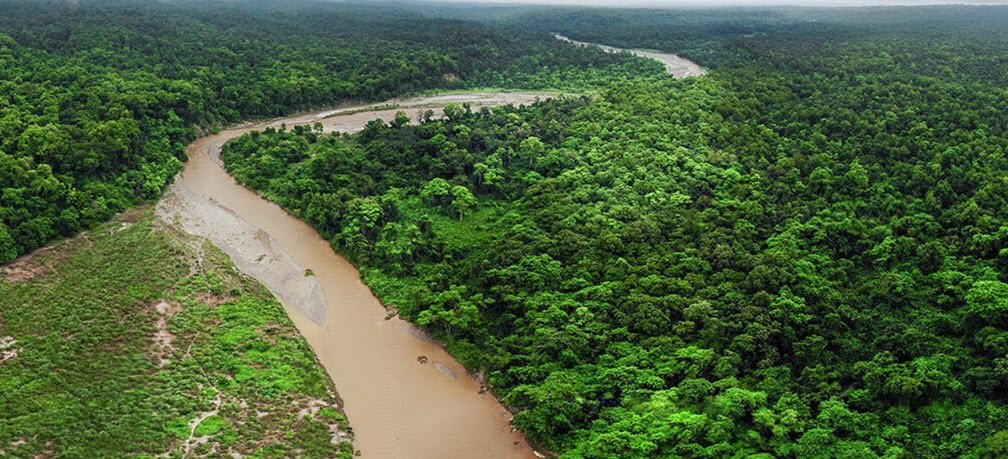 Valmiki National Park, West Champaran, Bihar - Vushii.com